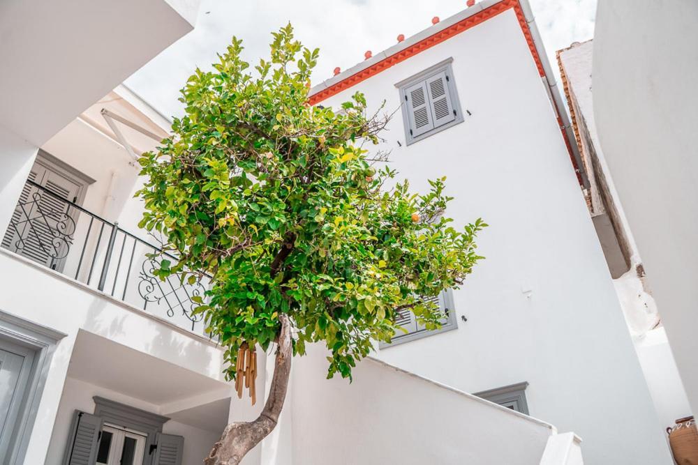 Lemon Tree - Hydra Dream Houses Exteriér fotografie